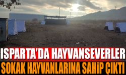 Isparta’da hayvanseverler, soğuk kış günlerinde sokak hayvanlarını unutmadı