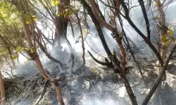 Gazipaşa’da Yıldırım Düşmesi Orman Yangınına Neden Oldu