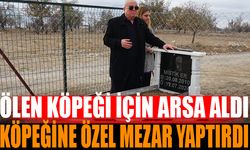 Görme Engelli Adam, Köpeğine Özel Mezar Yaptırdı