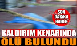 Kaldırım Kenarında Ölü Bulundu