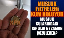 Musluk Sularındaki Kirlilik Ne Zaman Çözüme Kavuşacak?