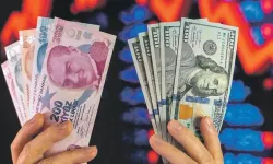 Mevduatta Doların Payı 6 Yılın Dibinde