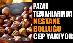 Pazarda Kestane Bolluğu, Fiyatlar Yüksek Seyrediyor