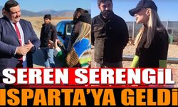 Seren Serengil Sokak Hayvanları için Isparta'da