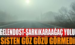 Gelendost Şarkikaraağaç yolu sise teslim oldu