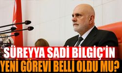 Süreyya Sadi Bilgiç'in Yeni Görevi Belli Oldu Mu?