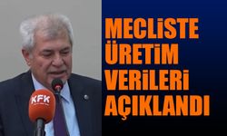 Üretim Verileri Açıklandı