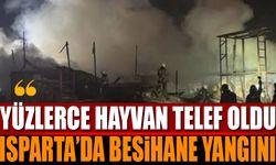 Isparta'da Besihane Yangını Yüzlerce Hayvan Telef Oldu