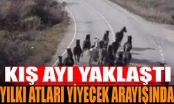 Isparta’nın Aksu İlçesinde Yılkı Atları Görüntülendi