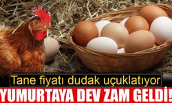 Yumurtaya zam geldi!