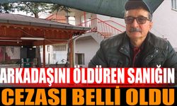 Kahvehanede arkadaşını öldüren sanığın cezası belli oldu