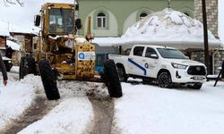 Elmalı ve Alanya’da yollar açılıyor