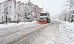 Isparta'da Karla Topyekün Mücadele