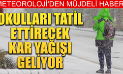 Okulları tatil ettirecek kar yolda!