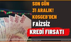 Son Gün 31 Aralık: KOSGEB’den Faizsiz Kredi Fırsatı