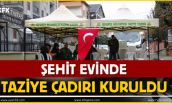 Şehitin Evinde Taziye Çadırı Kuruldu