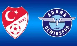 TFF'den Adana Demirspor’a 3 Puan Silme Cezası