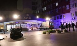 Dörtlü virüs Denizli hastanelerini doldurdu