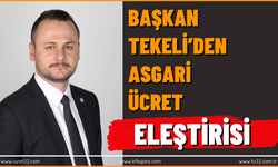 Başkan Tekeli’den asgari ücret eleştirisi