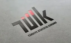 Türkiye'nin Gelir Dağılımı İstatistikleri Açıklandı