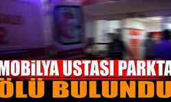 Mobilya ustası parkta ölü bulundu