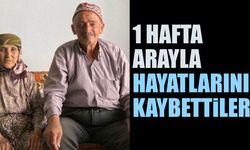 1 hafta arayla hayatlarını kaybettiler