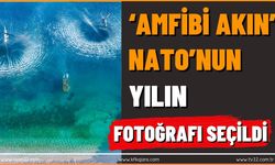 "Amfibi Akın" NATO'nun Yılın Fotoğrafı Seçildi