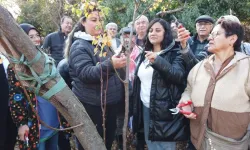 Gönüllüler Dağları Dolaşıp Yabani Ağaçları Meyveye Dönüştürüyor