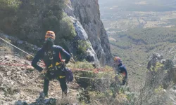 Bucak’ta Mahsur Kalan Keçi Kurtarıldı