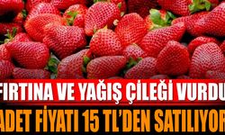 Fırtına ve Yağış Çileği Vurdu: Adet Fiyatı 15 TL Oldu