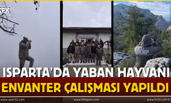 Isparta’da Yaban Hayvanı Envanter Çalışması Yapıldı