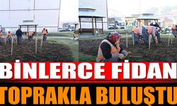 Binlerce fidan toprakla buluşturuluyor