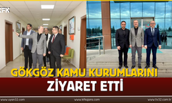 Mehmet Uğur Gökgöz  Kamu Kurumlarını Ziyaret Etti