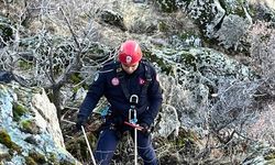 Büyükşehir Belediyesi İtfaiye ekiplerinden keçi kurtarma operasyonu