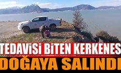 Tedavisi biten Kerkenes doğaya salındı