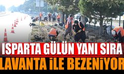 Isparta gülün yanı sıra lavanta ile bezeniyor