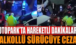 Alkollü Sürücü Park Halindeki Araca Çarptı