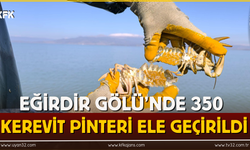 Eğirdir Gölü’nde 350 Kerevit pinteri ele geçirildi