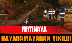 Fırtınaya Dayanamayarak Yıkıldı