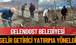 Gelendost Belediyesi gelir getirici yatırıma yöneldi