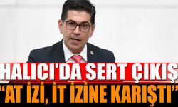 CHP’li Halıcı’dan Çarpıcı Çıkış: “At İzi, İt İzine Karıştı”