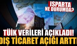 Isparta, Burdur ve Antalya'nın Dış Ticaret İstatistikleri Açıklandı! (Ocak 2025)