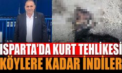 Isparta’da Kurt Tehlikesi! Köylere Kadar İndiler