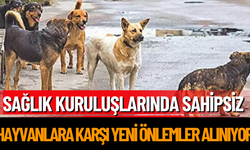 Sağlık Kuruluşlarında Sahipsiz Hayvanlara Karşı Yeni Önlemler Alınıyor