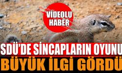 SDÜ’de sincapların oyunu büyük ilgi gördü