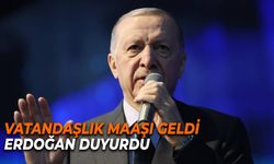 Vatandaşlık Maaşı Nedir? Kimler Başvurabilir?