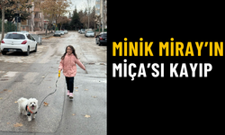 Minik Miray’ın Miça’sı kayıp