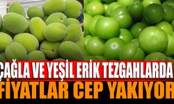 Çağla ve Yeşil Erik Pazarlarda: Fiyatlar Cep Yakıyor