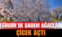 Eğirdir’de bademler çiçek açtı