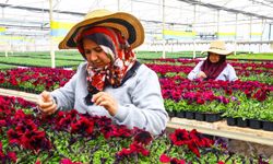 Antalya’nın caddeleri baharda rengârenk olacak